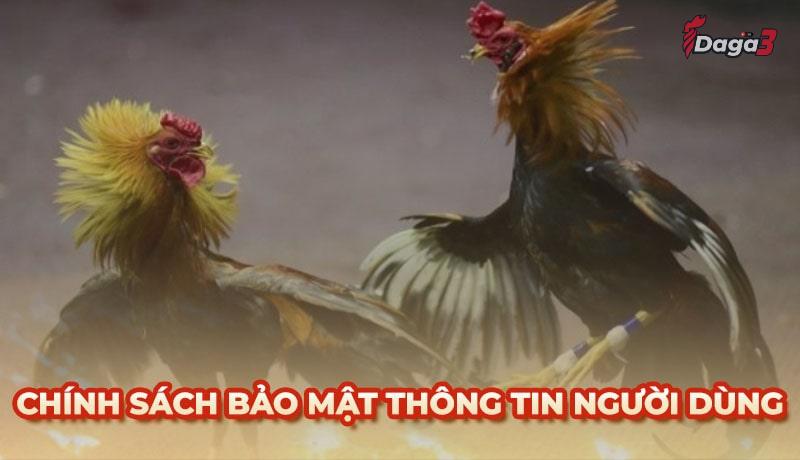 Chính sách bảo mật thông tin người dùng tại hungthinhhanoi.com