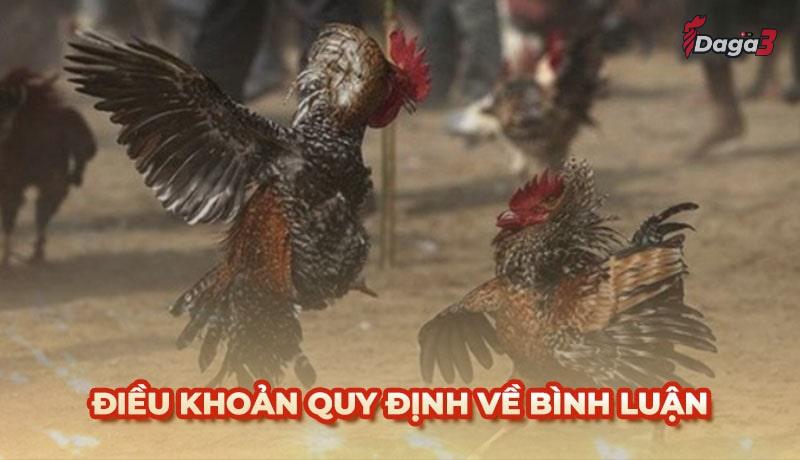 Người dùng cần tuân thủ một số điều khoản khi bình luận trên hungthinhhanoi.com