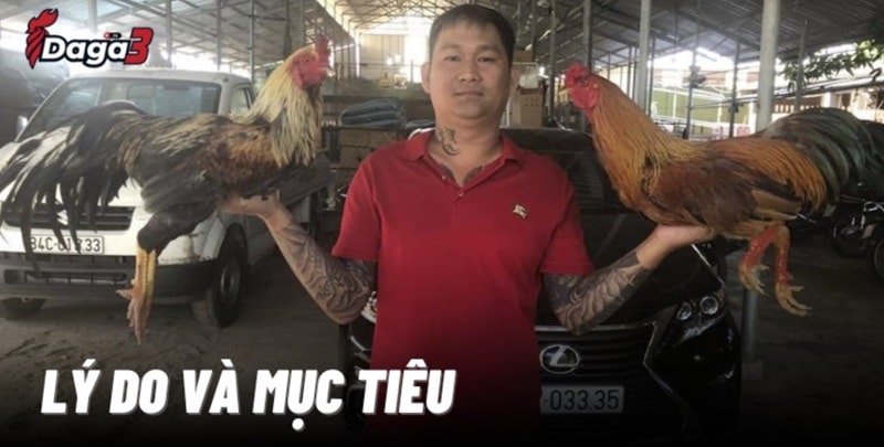 Mít Trà Cú sáng lập trang đá gà trực tiếp hungthinhhanoi.com